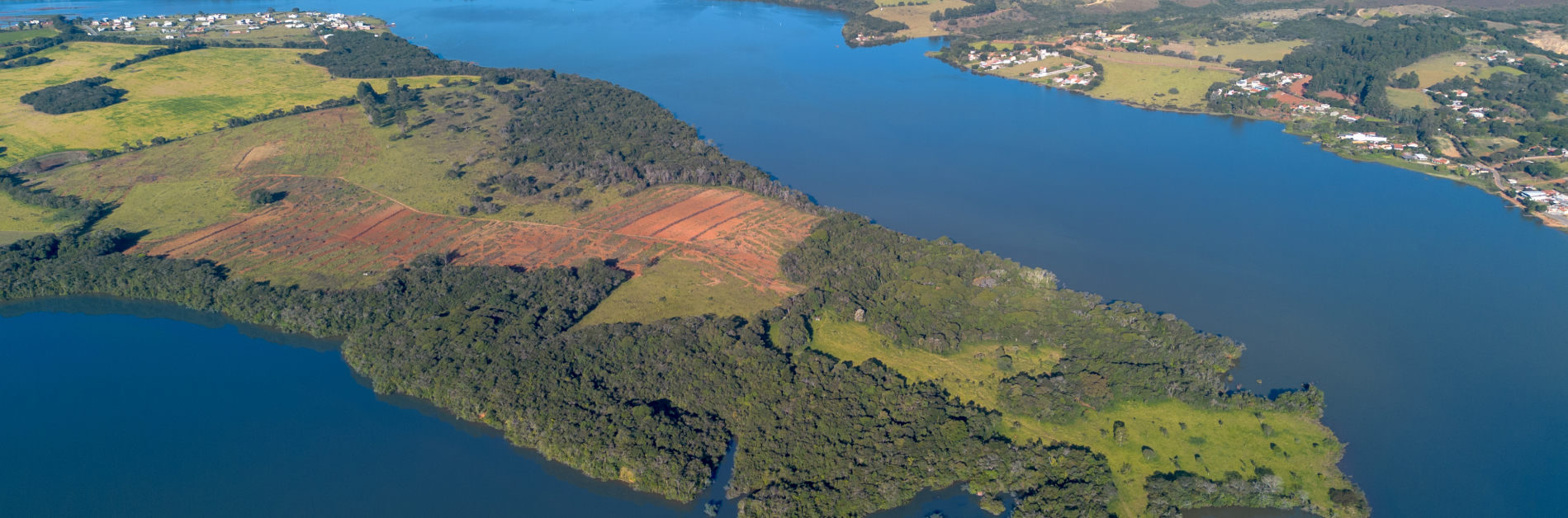 Projeto paisagístico da vinícola Mil Vidas